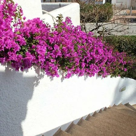 Oasis Park